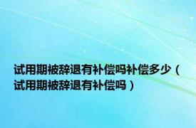 试用期被辞退有补偿吗补偿多少（试用期被辞退有补偿吗）