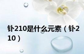 钋210是什么元素（钋210）