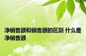 净销售额和销售额的区别 什么是净销售额