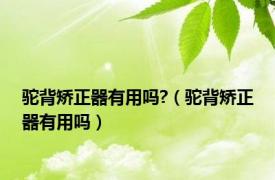 驼背矫正器有用吗?（驼背矫正器有用吗）