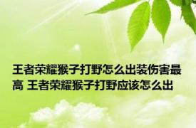 王者荣耀猴子打野怎么出装伤害最高 王者荣耀猴子打野应该怎么出