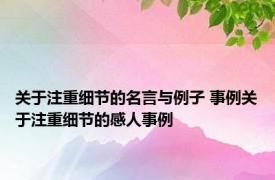 关于注重细节的名言与例子 事例关于注重细节的感人事例