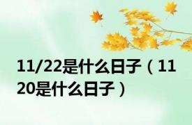 11/22是什么日子（11 20是什么日子）