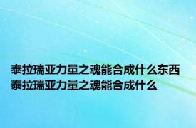 泰拉瑞亚力量之魂能合成什么东西 泰拉瑞亚力量之魂能合成什么