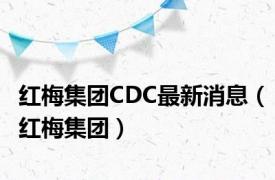 红梅集团CDC最新消息（红梅集团）