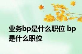 业务bp是什么职位 bp是什么职位