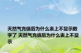 天然气充值后为什么表上不显示数字了 天然气充值后为什么表上不显示