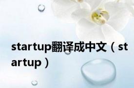 startup翻译成中文（startup）