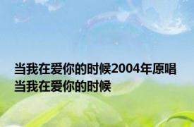 当我在爱你的时候2004年原唱 当我在爱你的时候 