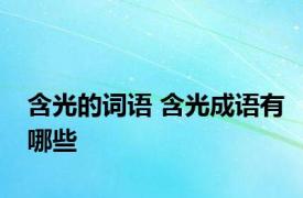 含光的词语 含光成语有哪些