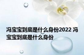 冯宝宝到底是什么身份2022 冯宝宝到底是什么身份