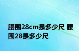 腰围28cm是多少尺 腰围28是多少尺