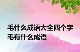 毛什么成语大全四个字 毛有什么成语