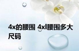 4x的腰围 4xl腰围多大尺码