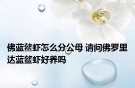 佛蓝鳌虾怎么分公母 请问佛罗里达蓝鳌虾好养吗