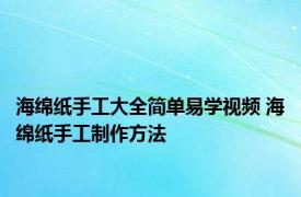 海绵纸手工大全简单易学视频 海绵纸手工制作方法