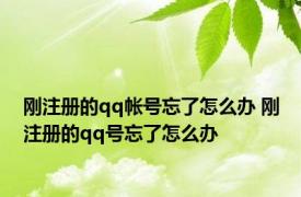 刚注册的qq帐号忘了怎么办 刚注册的qq号忘了怎么办