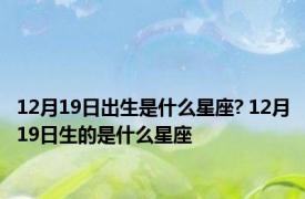 12月19日出生是什么星座? 12月19日生的是什么星座