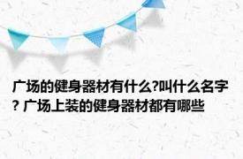 广场的健身器材有什么?叫什么名字? 广场上装的健身器材都有哪些