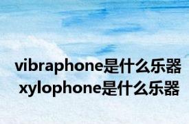 vibraphone是什么乐器 xylophone是什么乐器