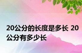 20公分的长度是多长 20公分有多少长