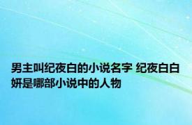 男主叫纪夜白的小说名字 纪夜白白妍是哪部小说中的人物