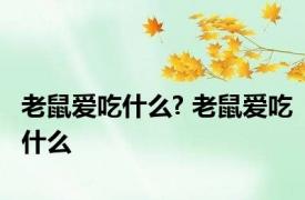 老鼠爱吃什么? 老鼠爱吃什么