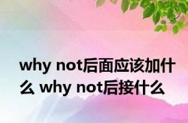 why not后面应该加什么 why not后接什么