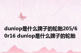 dunlop是什么牌子的轮胎205/60r16 dunlop是什么牌子的轮胎