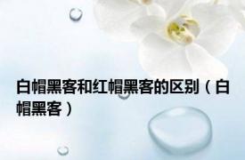 白帽黑客和红帽黑客的区别（白帽黑客）