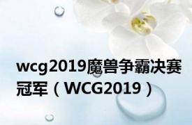 wcg2019魔兽争霸决赛冠军（WCG2019）