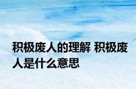 积极废人的理解 积极废人是什么意思