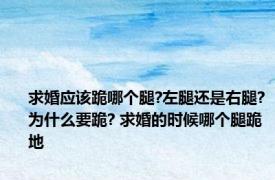 求婚应该跪哪个腿?左腿还是右腿?为什么要跪? 求婚的时候哪个腿跪地