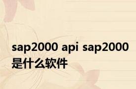 sap2000 api sap2000是什么软件