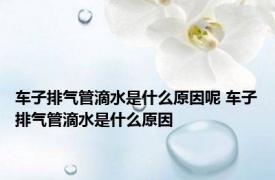 车子排气管滴水是什么原因呢 车子排气管滴水是什么原因