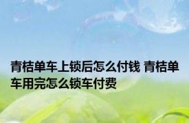 青桔单车上锁后怎么付钱 青桔单车用完怎么锁车付费