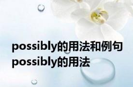 possibly的用法和例句 possibly的用法