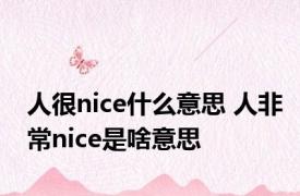 人很nice什么意思 人非常nice是啥意思