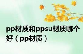 pp材质和ppsu材质哪个好（pp材质）