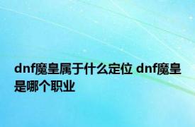 dnf魔皇属于什么定位 dnf魔皇是哪个职业