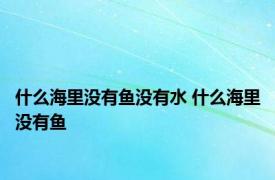 什么海里没有鱼没有水 什么海里没有鱼