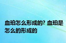 血珀怎么形成的? 血珀是怎么的形成的