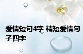 爱情短句4字 精短爱情句子四字