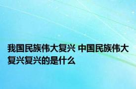 我国民族伟大复兴 中国民族伟大复兴复兴的是什么