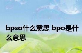 bpso什么意思 bpo是什么意思