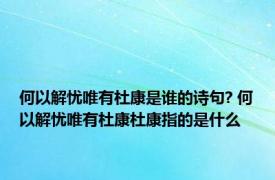 何以解忧唯有杜康是谁的诗句? 何以解忧唯有杜康杜康指的是什么