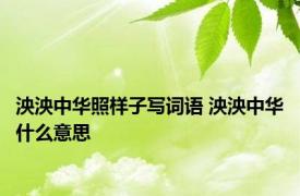 泱泱中华照样子写词语 泱泱中华什么意思