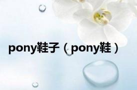 pony鞋子（pony鞋）