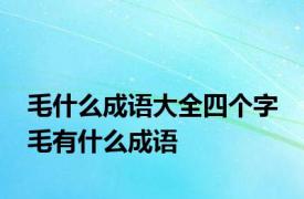 毛什么成语大全四个字 毛有什么成语