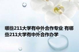 哪些211大学有中外合作专业 有哪些211大学有中外合作办学